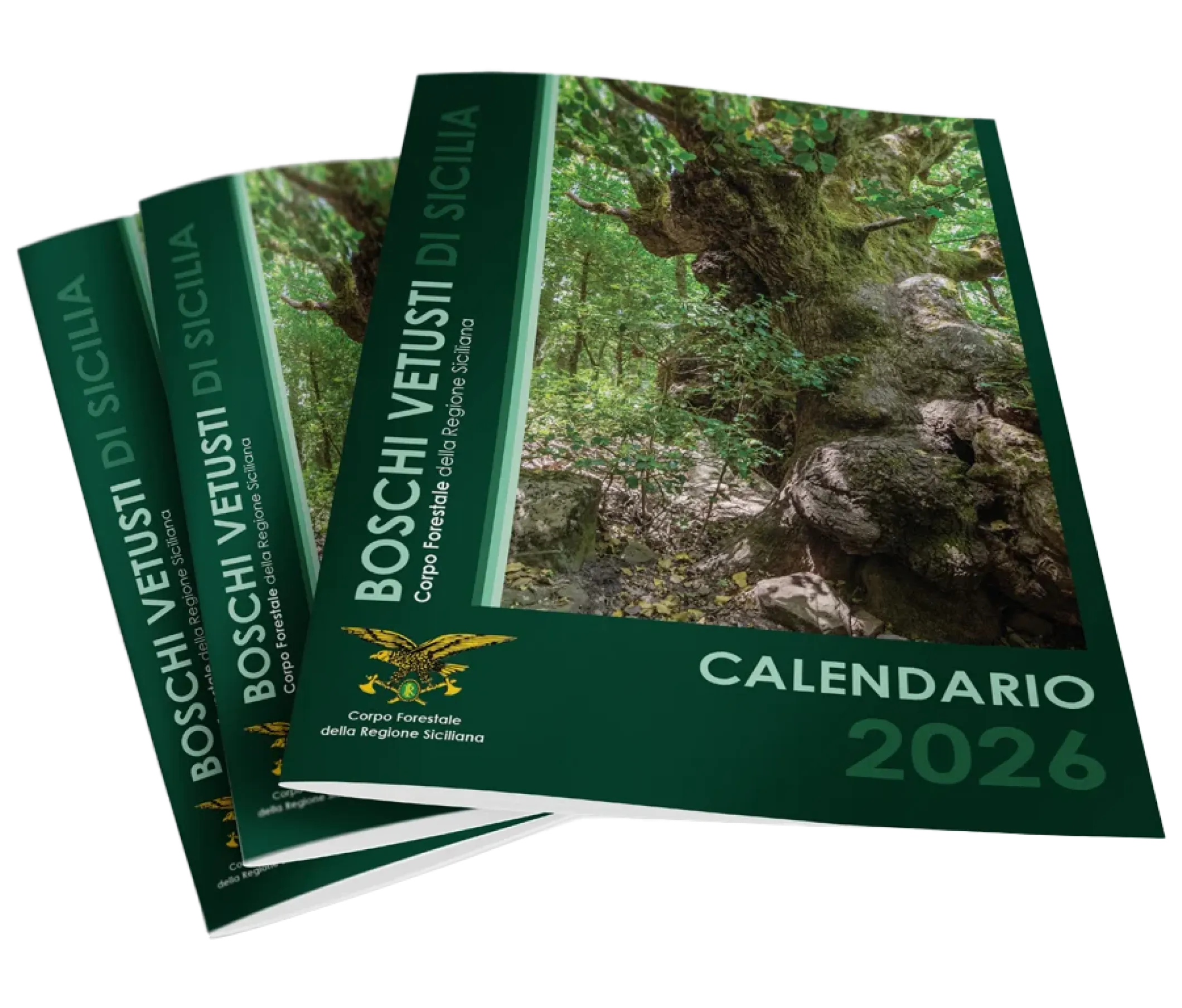 Calendario 2026 — Copertina fisica