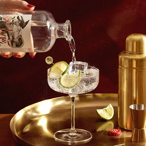 Otivm Gin — cocktail
