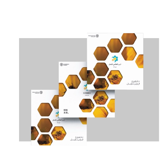 World Bee Day