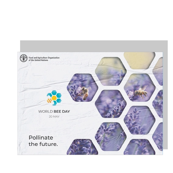 World Bee Day — Roll-up